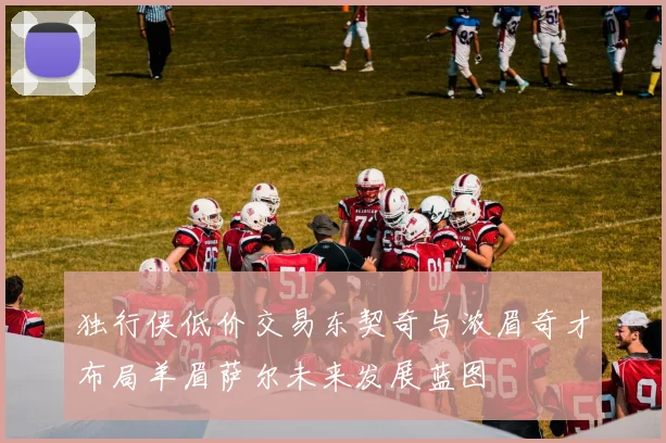 独行侠低价交易东契奇与浓眉奇才布局羊眉萨尔未来发展蓝图