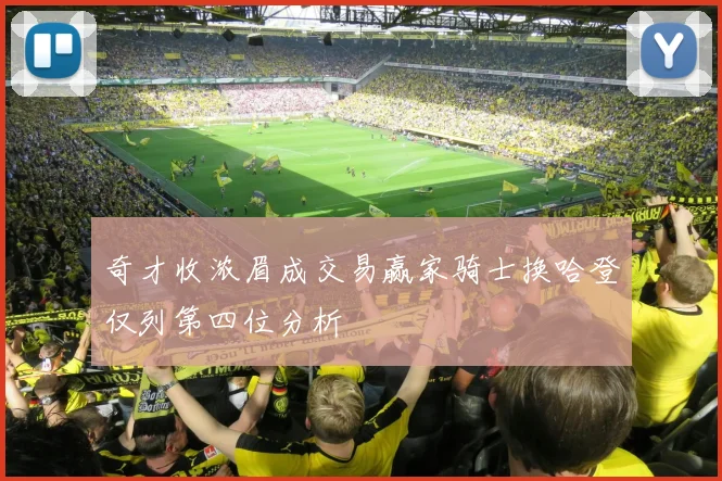 奇才收浓眉成交易赢家骑士换哈登仅列第四位分析