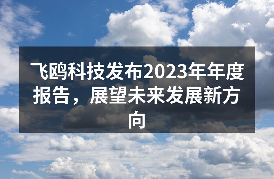 飞鸥科技发布2023年年度报告，展望未来